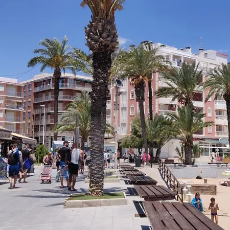Inez Torrevieja